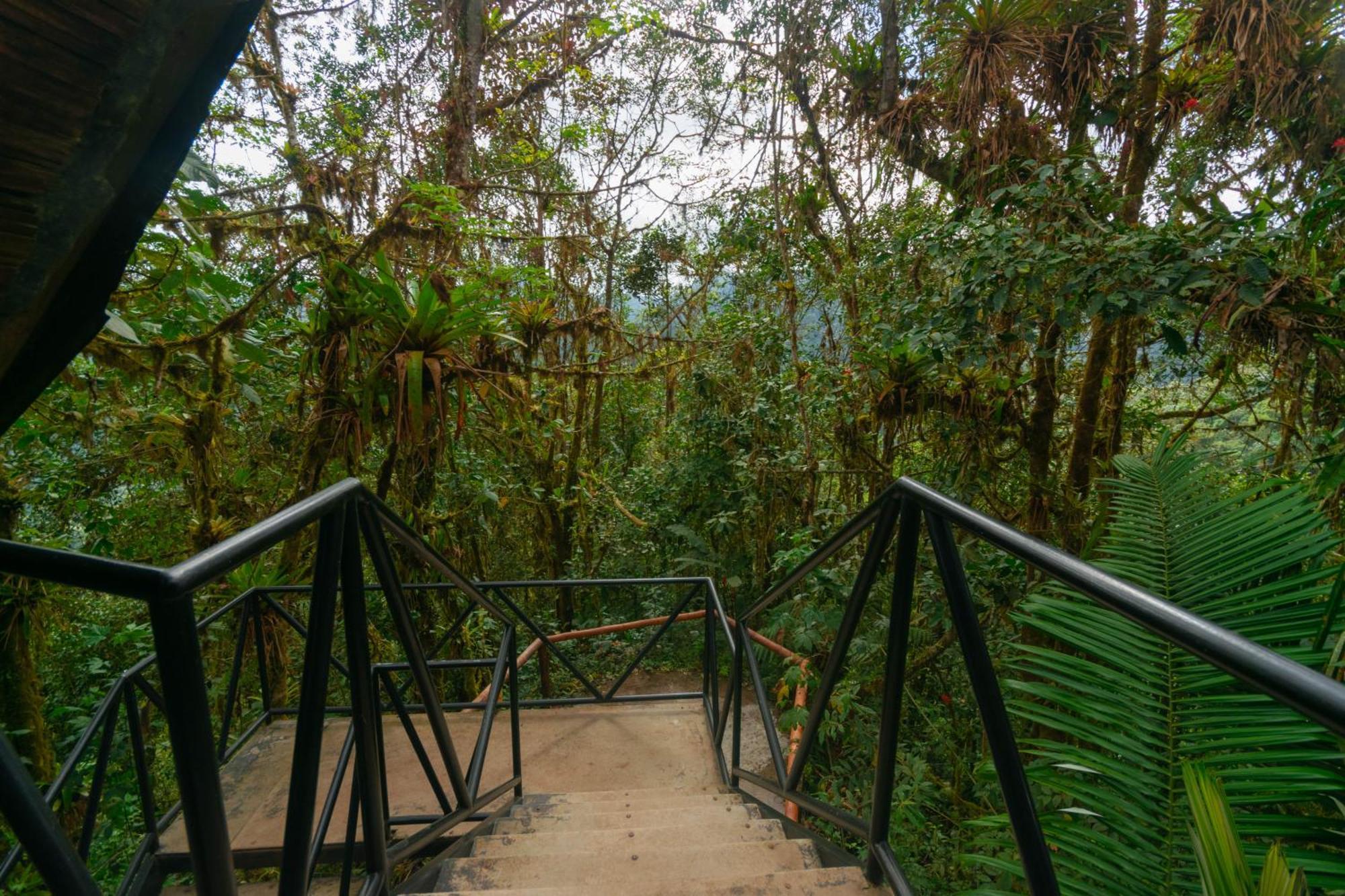 Bellavista Cloud Forest Lodge & Private Protected Area Tandayapa Exterior photo